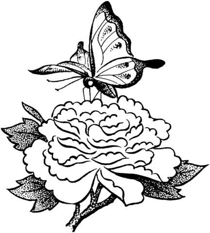 Butterfly On A Flower Coloring page