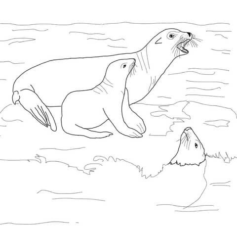 California Sea Lion with Its Baby Coloring page