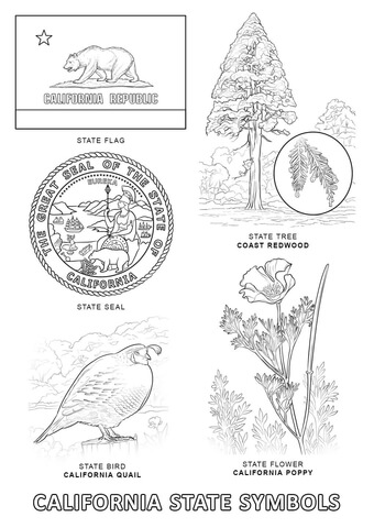California State Symbols Coloring page