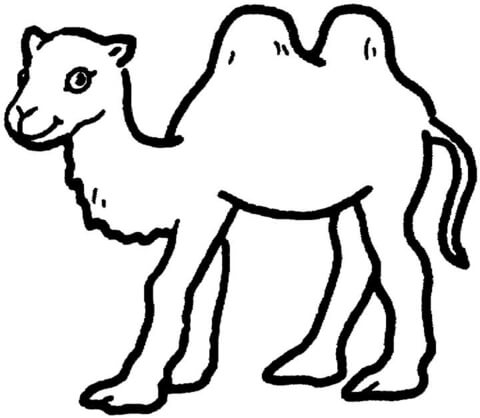 Bactrian Camel Baby Coloring page