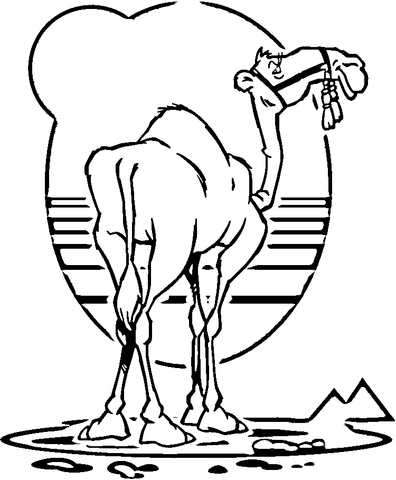 Camel  Coloring page
