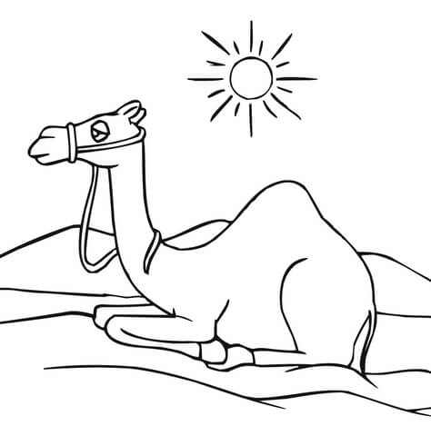 Camel Having a Rest Coloring page