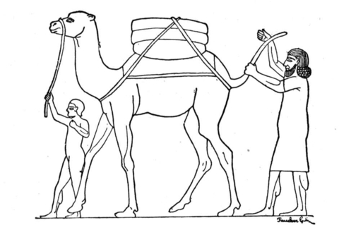Camel in Ancient Egypt Coloring page