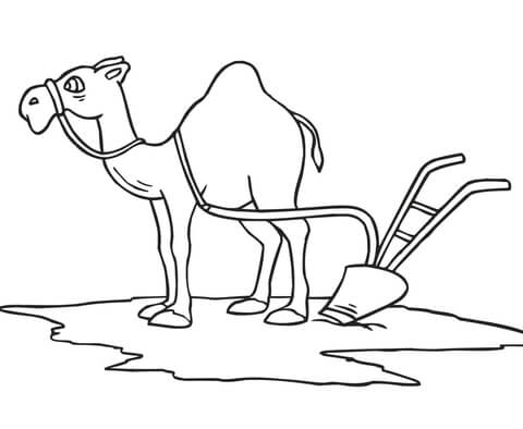 Camel with Plough Coloring page