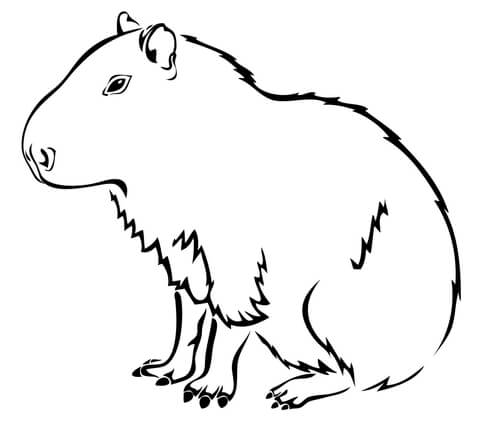 Capybara the Largest Rodent in the World Coloring page