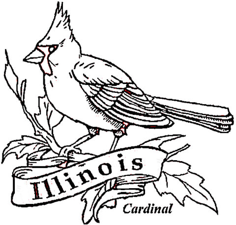 Cardinal Bird Of Illinois  Coloring page