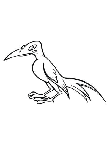 Caricature Magpie Bird Coloring page