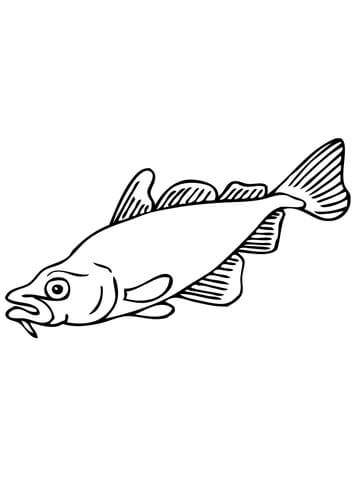 Carp Fish Coloring page
