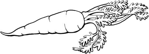 Carrot 2 Coloring page