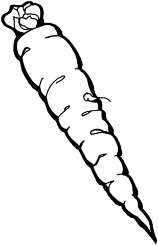 Carrot 3 Coloring page