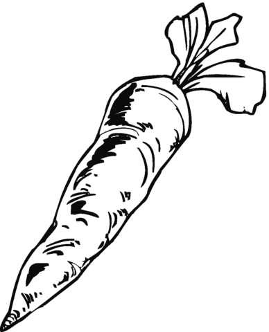 Carrot 9 Coloring page