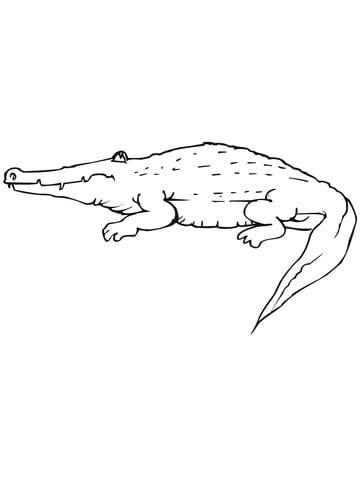 Cartoon Crocodile Coloring page