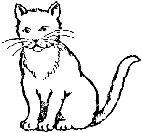 Cat 1 Coloring page