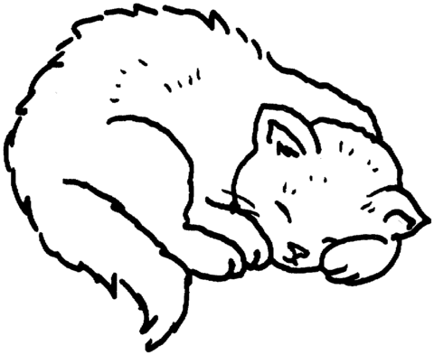 Sleeping cat curls up in a ball Coloring page