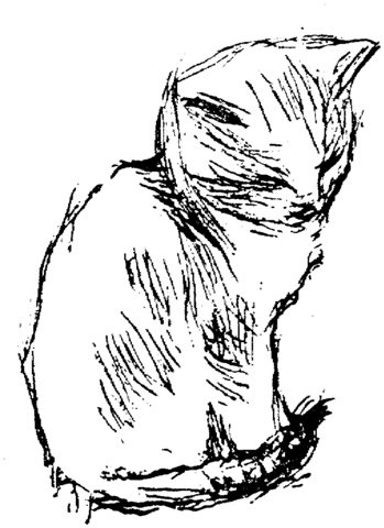 Hand drawing of Cat Coloring page