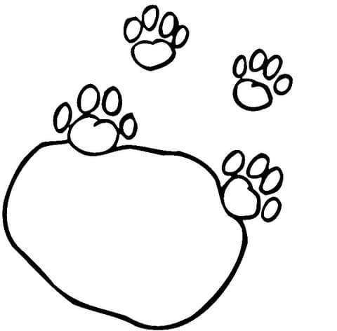 Cat Walked Here Coloring page