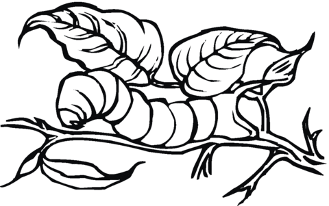 Caterpillar 22 Coloring page