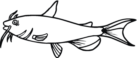 Catfish 1 Coloring page