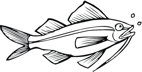 Catfish 10 Coloring page