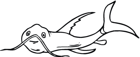 Catfish 12 Coloring page