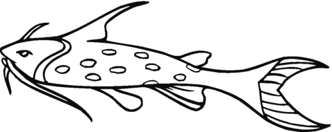 Catfish 13 Coloring page
