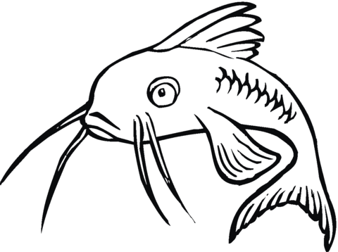 Catfish 16 Coloring page