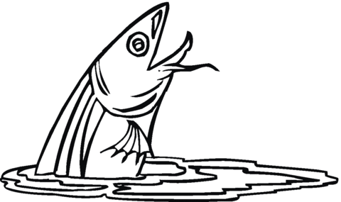Catfish 2 Coloring page