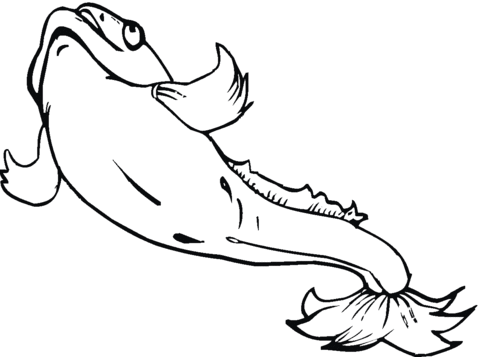 Catfish 20 Coloring page