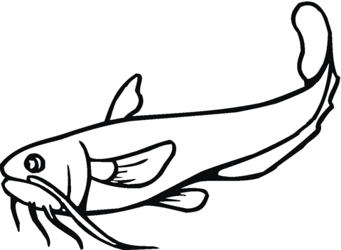 Catfish 21 Coloring page