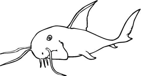Catfish 4 Coloring page