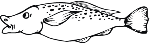 Catfish 6 Coloring page