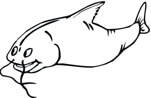 Catfish 7 Coloring page