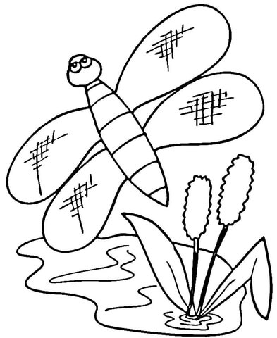 Cattails and dragonfly Coloring page
