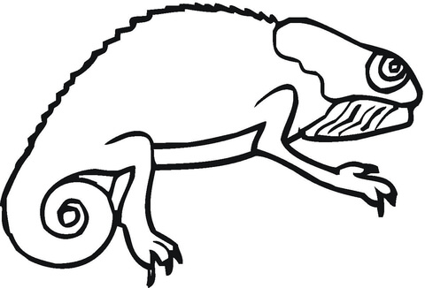Chameleon  Coloring page