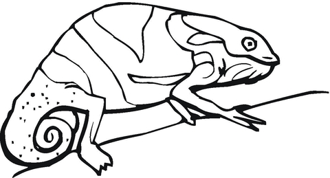 Chameleon On The Tree Coloring page