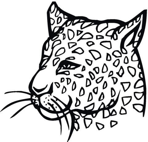 Cheetah 4 Coloring page