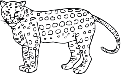 Cheetah 7 Coloring page