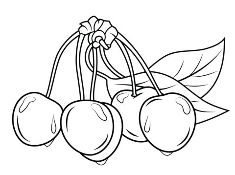 Cherries with leaves Coloring page