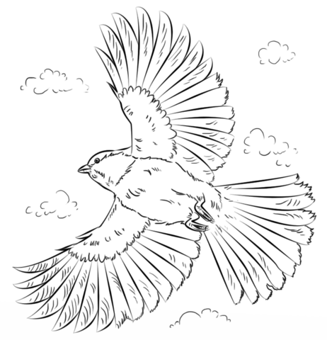 Black-capped Chickadee in flight Coloring page