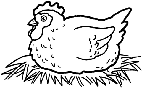Hen hatching chicken eggs Coloring page