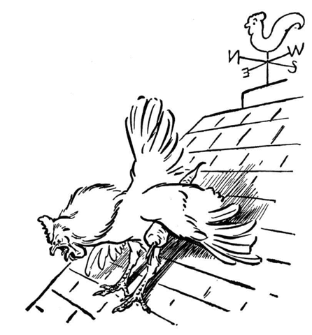Rooster and Wind rooster  Coloring page