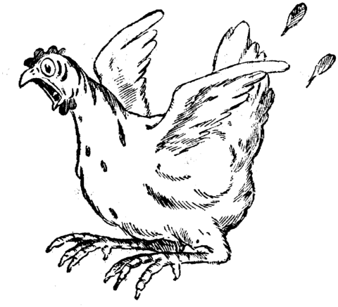 Frightened Hen Coloring page
