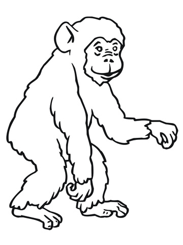 Chimp Coloring page