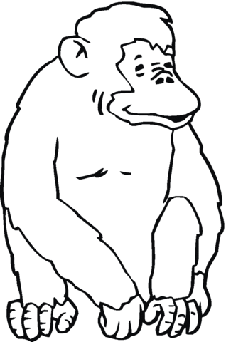 Chimpanzee Sits Coloring page