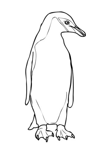 Chinstrap Penguin Coloring page