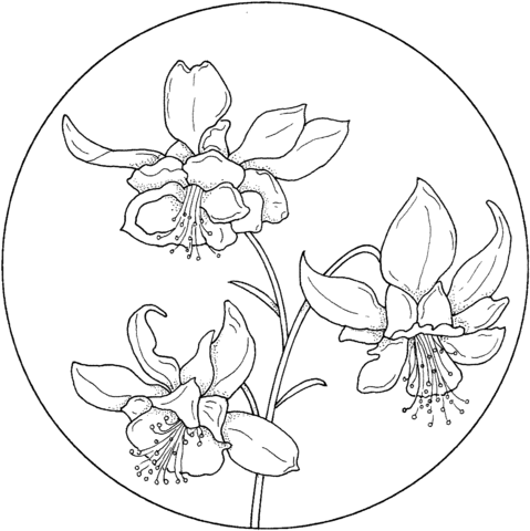 Circle with Flower 3 Coloring page