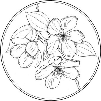 Circle with Flower Coloring page