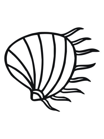 Clam Coloring page