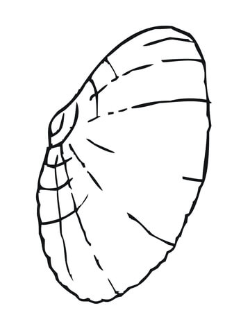 Clam Shell Coloring page