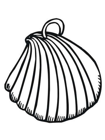 Clam Shell Earring Coloring page